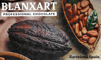 BLANXART PROFESSIONAL CHOCOLATE